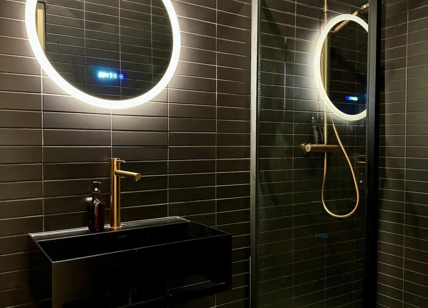 Luxurious Loft Near Opera